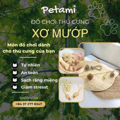Đồ chơi cho thú cưng từ xơ mướp như chuột xơ mướp, thảm xơ mướp,....