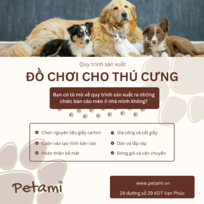 Bàn cào móng là vật rất quen thuộc đối với những người nuôi thú cưng. Hãy cùng tham khảo về quy trình sản xuất nên những chiếc bàn cào móng này nhé