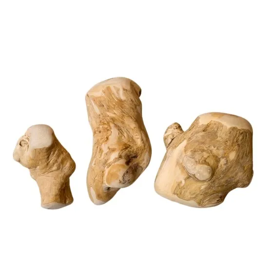 Ba khúc gỗ cà phê dòng Gorilla dạng gốc cục